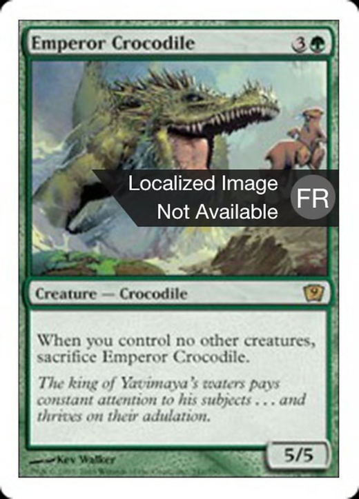 Crocodile Empereur image