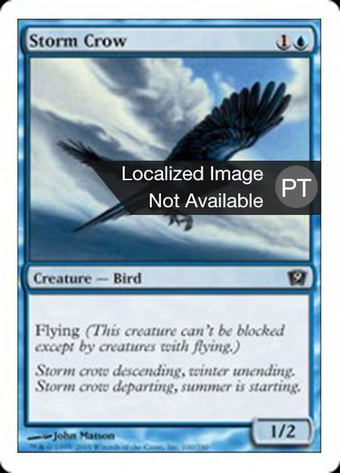 Storm Crow Full hd image