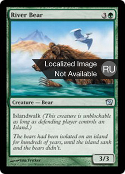 Речной медведь image