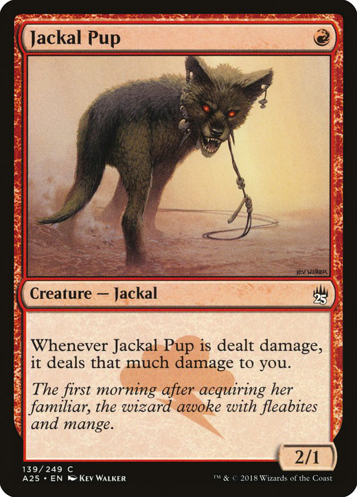 Jackal Pup image