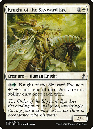 Knight of the Skyward Eye image