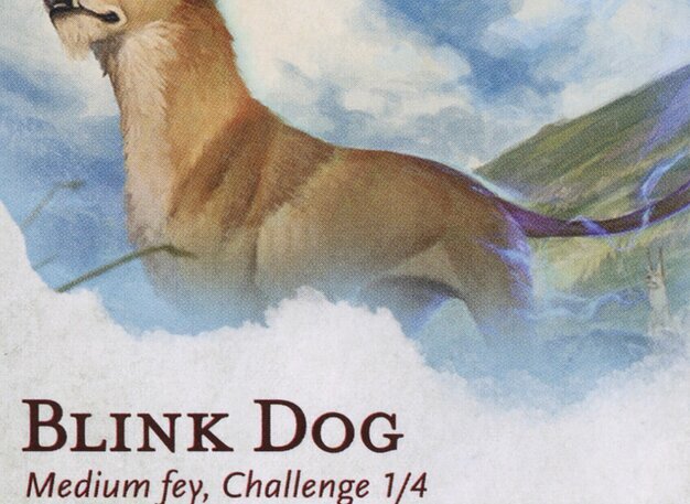 Blink Dog Card Crop image Wallpaper