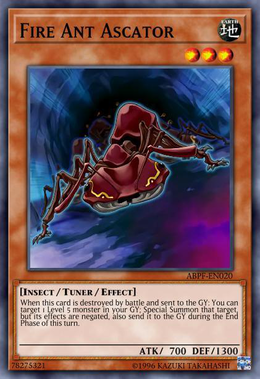 Card image in hand