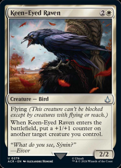 Keen-Eyed Raven image