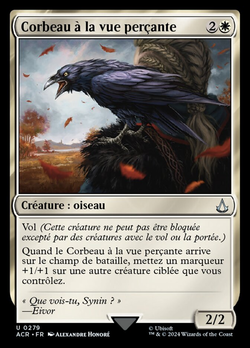 Corbeau à la vue perçante