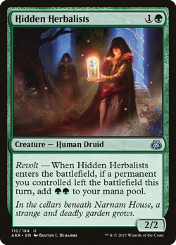 Hidden Herbalists image