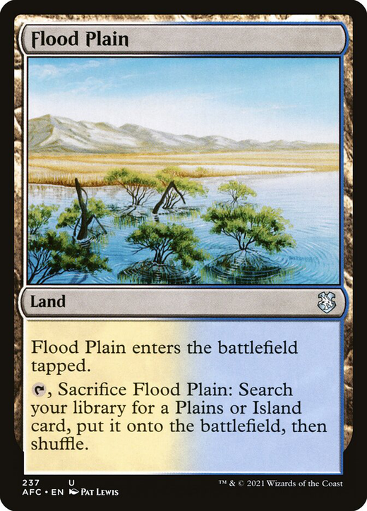 Flood Plain
홍수 평야 image