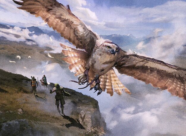 Ranger's Hawk Crop image Wallpaper