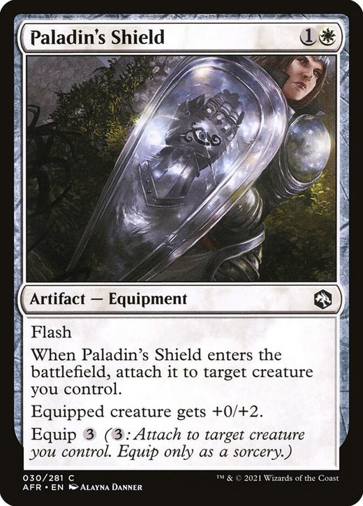 Paladin's Shield Full hd image
