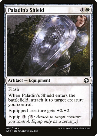Paladin's Shield image