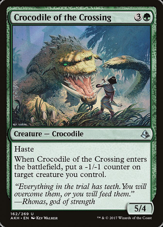Crocodile of the Crossing Full hd image