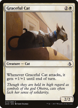 Graceful Cat image