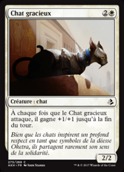 Chat gracieux image
