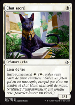 Chat sacré image