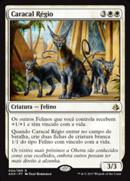 Card image in hand