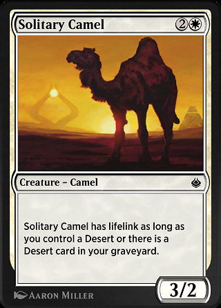 Solitary Camel image