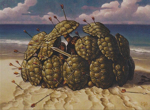 Tortoise Formation Crop image Wallpaper