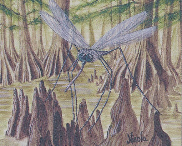 Swamp Mosquito Crop image Wallpaper