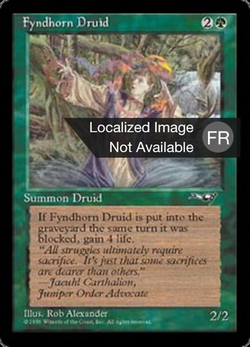 Fyndhorn Druid image