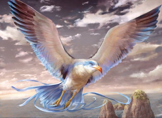 Zephyr Gull Crop image Wallpaper