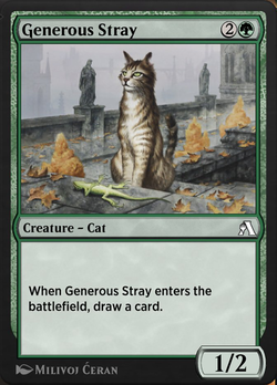 Generous Stray