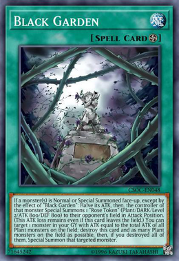 Card image in hand