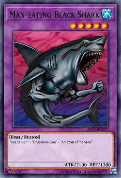 吞人黑鲨