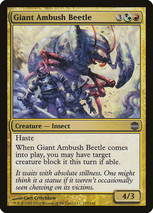 Giant Ambush Beetle Full hd image