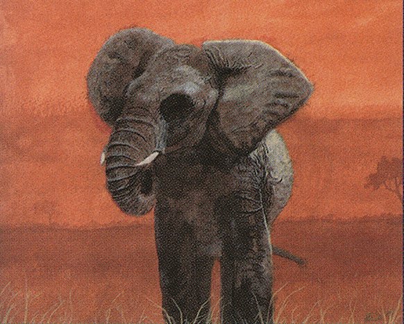 War Elephant Crop image Wallpaper