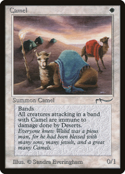 骆驼 image