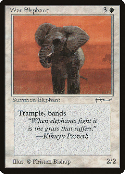 Éléphant de guerre image