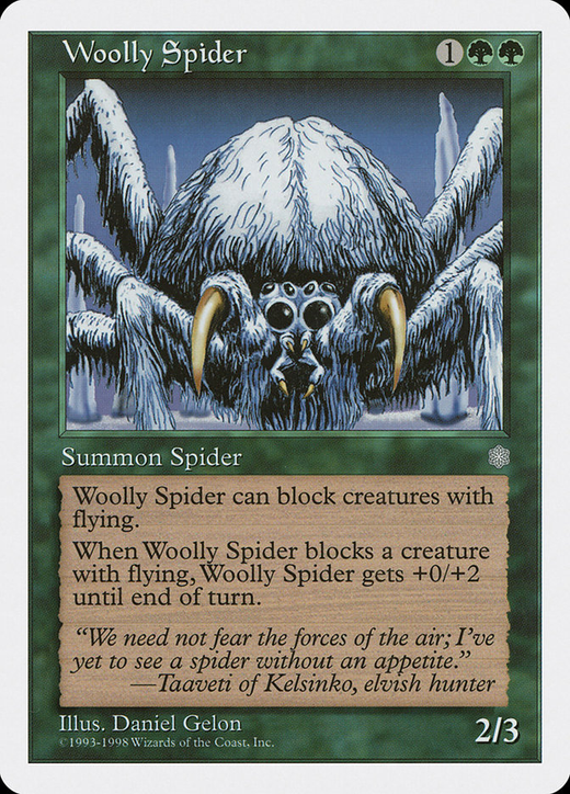 Woolly Spider Full hd image