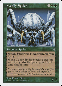 Woolly Spider
털거미