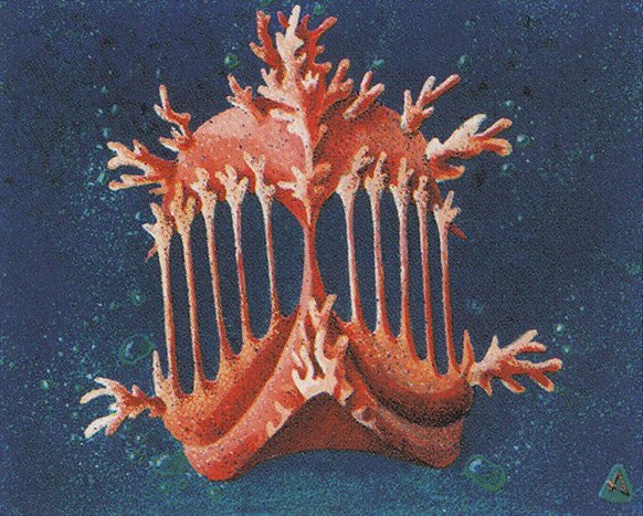 Coral Helm Crop image Wallpaper