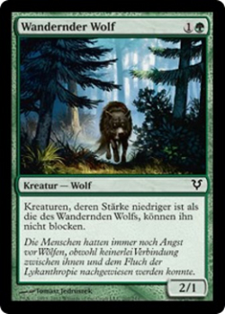 Wandernder Wolf