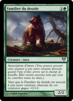 Familier du druide image