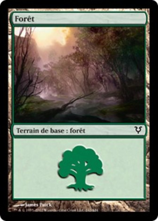 Forêt image