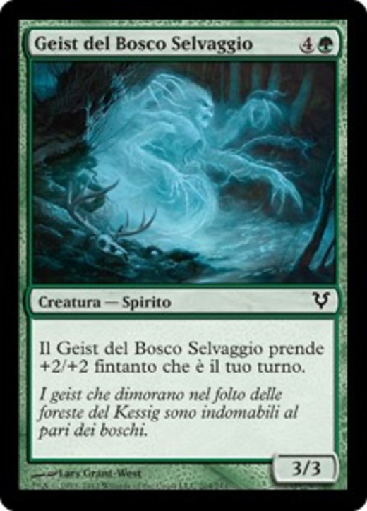 Geist del Bosco Selvaggio image