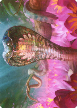 연꽃 코브라 카드