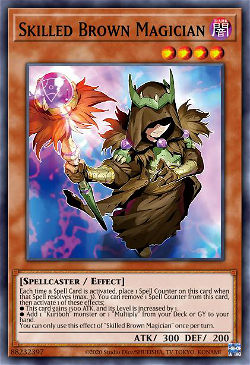Skilled Brown Magician image