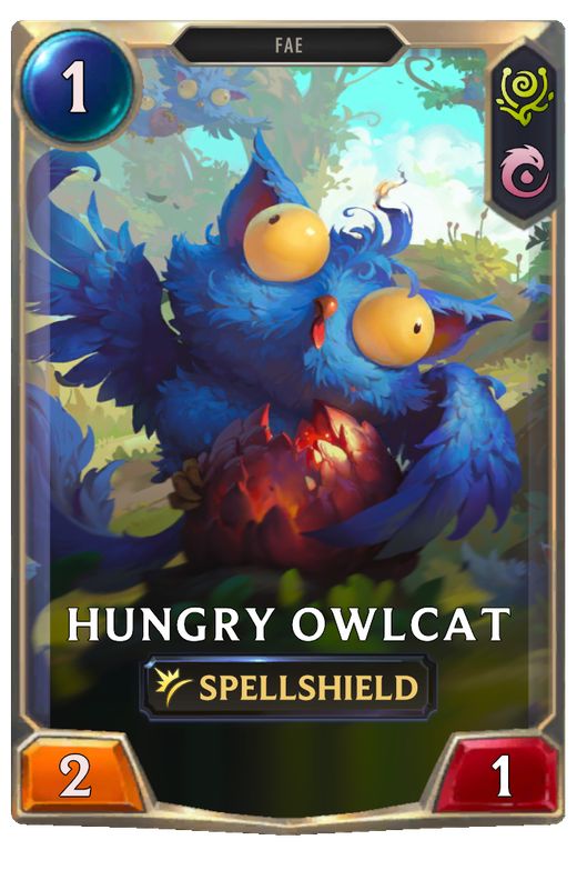 Hungry Owlcat Full hd image