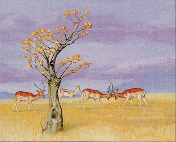 Karoo Crop image Wallpaper