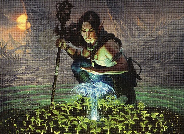 Lifespring Druid Crop image Wallpaper
