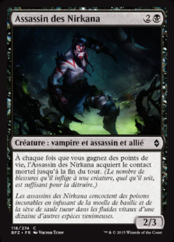 Assassin des Nirkana