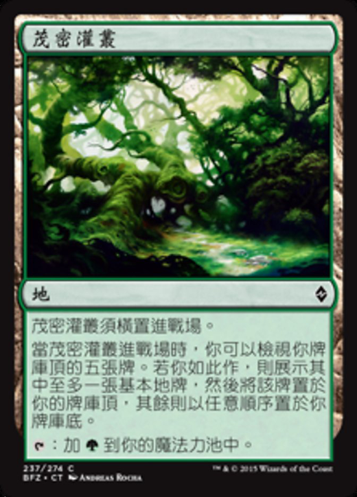 Fertile Thicket Full hd image
