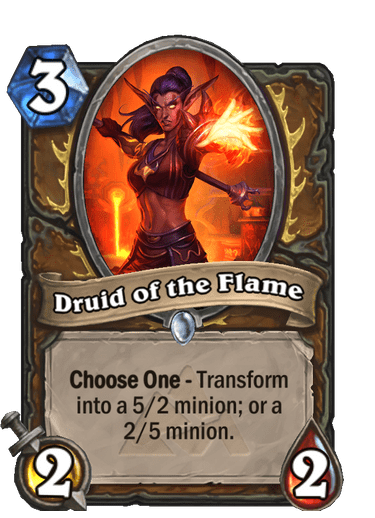 Druid of the Flame image