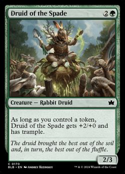 Druid of the Spade image