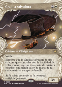 Grajilla salvadora image