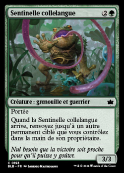 Sentinelle collelangue image