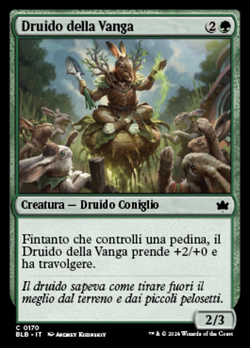 Druido della Vanga image